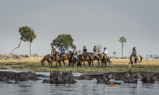 Botswana-Okavango Delta-Okavango Big Five Safari